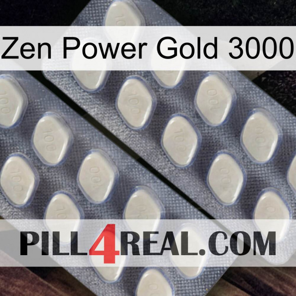 Zen Power Gold 3000 07.jpg